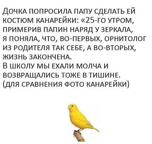 1 едем и молчим