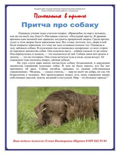 Притча про собаку