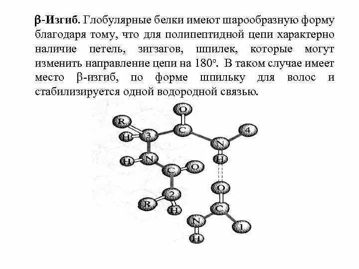 Форма глобулы белка. Пространственная конфигурация полипептидной цепи. Бета изгиб вторичной структуры белка. Бета изгиб. Изгиб полипептидной цепи.