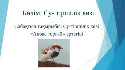 Үлкен мүшесі бар қыздар порно