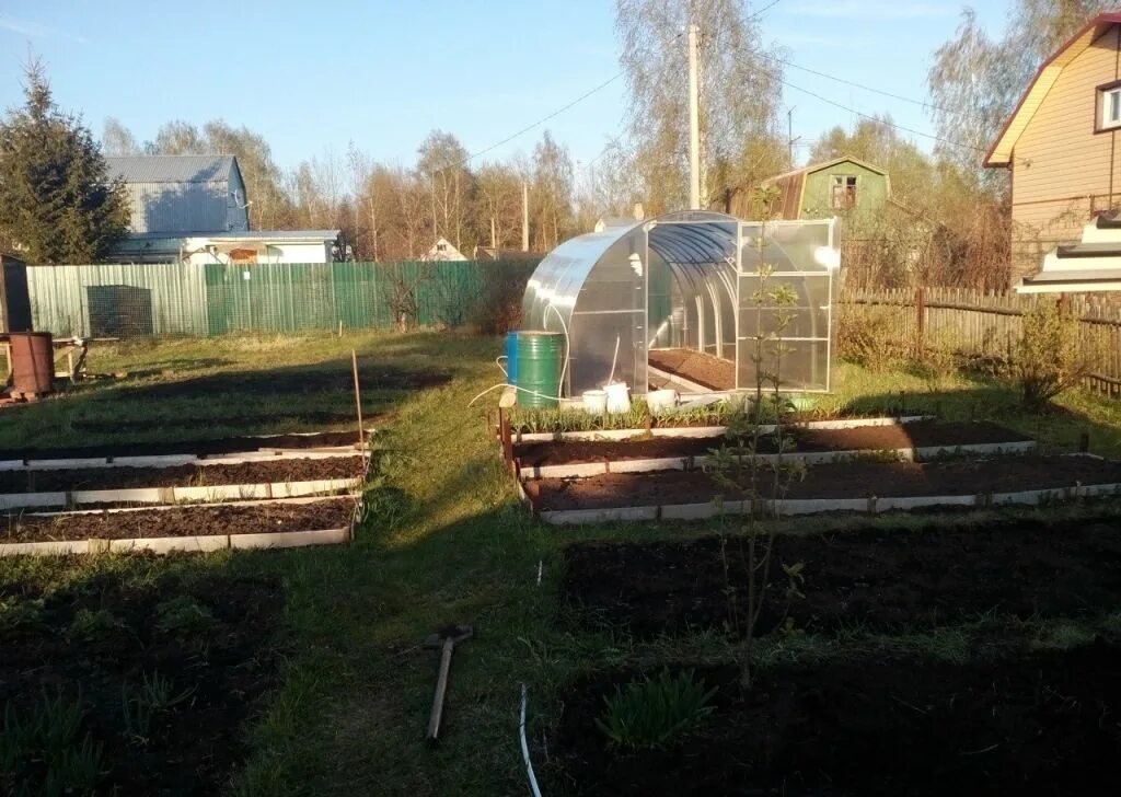 Снт малинки. Снт малинка. Снт малинка орехово-зуево. Малинка на даче. Снт малинка.