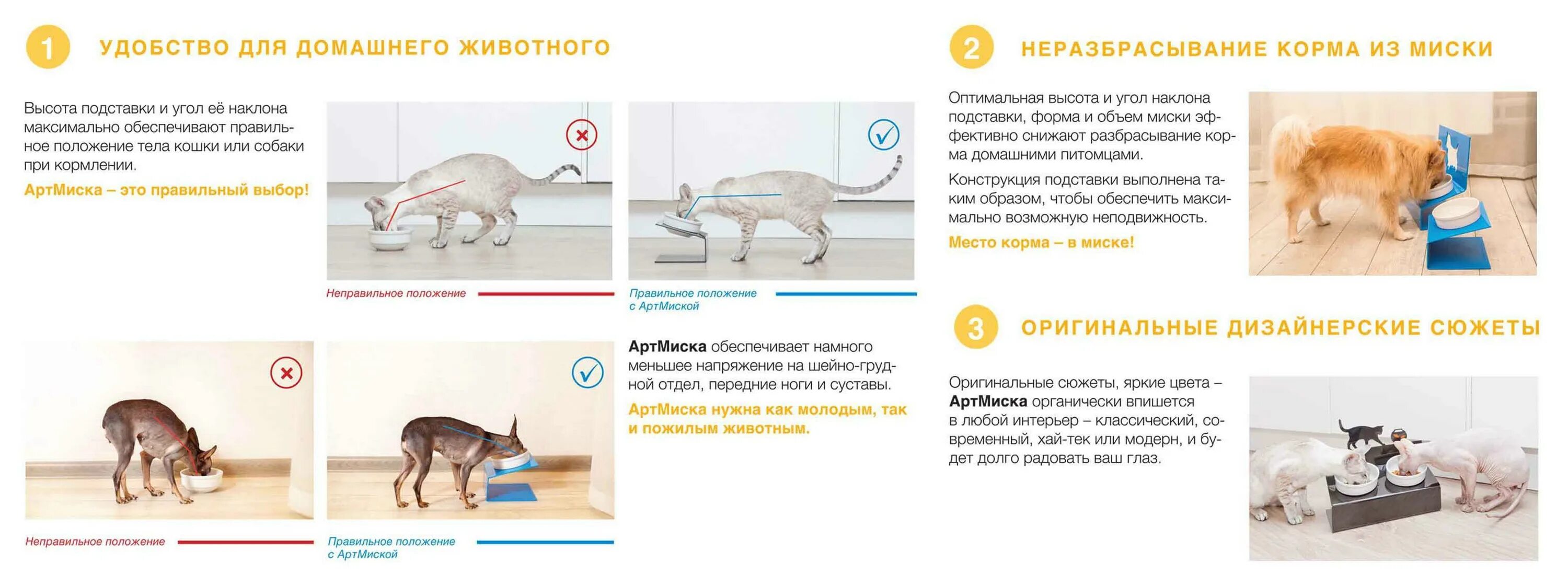 Почему собакам нельзя кошачий корм. Правильное положение собаки при кормлении. правильное положение миски для собаки. правильное положение собаки при еде. правильное положение миски при кормлении собаки.