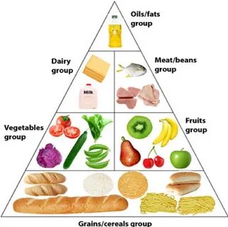 Copy all the food words from the