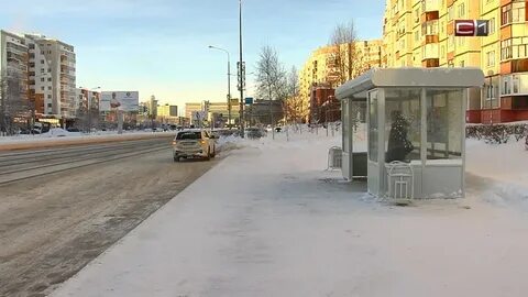 Мелик карамов сургут