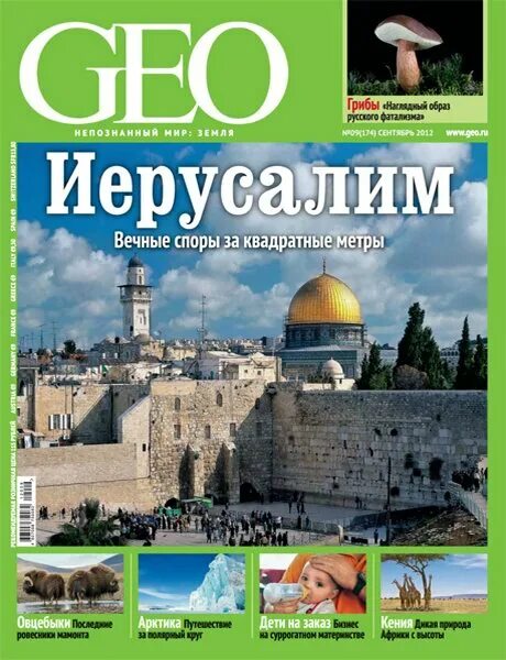 Гео 9. Программа zet 9 geo. Астропроцессор zet 9 geo. Гео 9. Программа zet 9 geo.