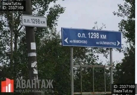 Погода на сегодня в мамоново