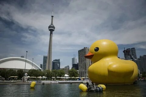Big duck