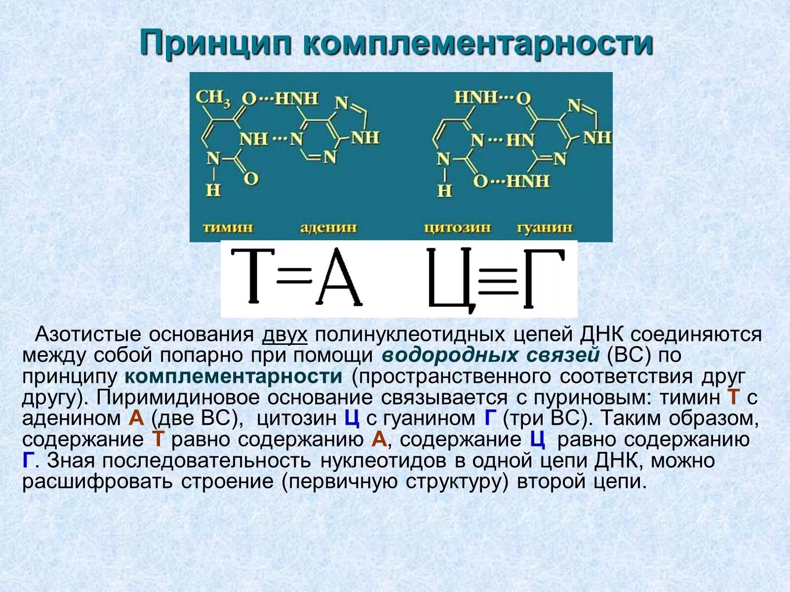 Водородные между азотистыми основаниями. Принцип комплементарности нуклеиновых кислот. Принцип комплементарности ДНК. Принцип комплементарности РНК. Принцип комплементарност.