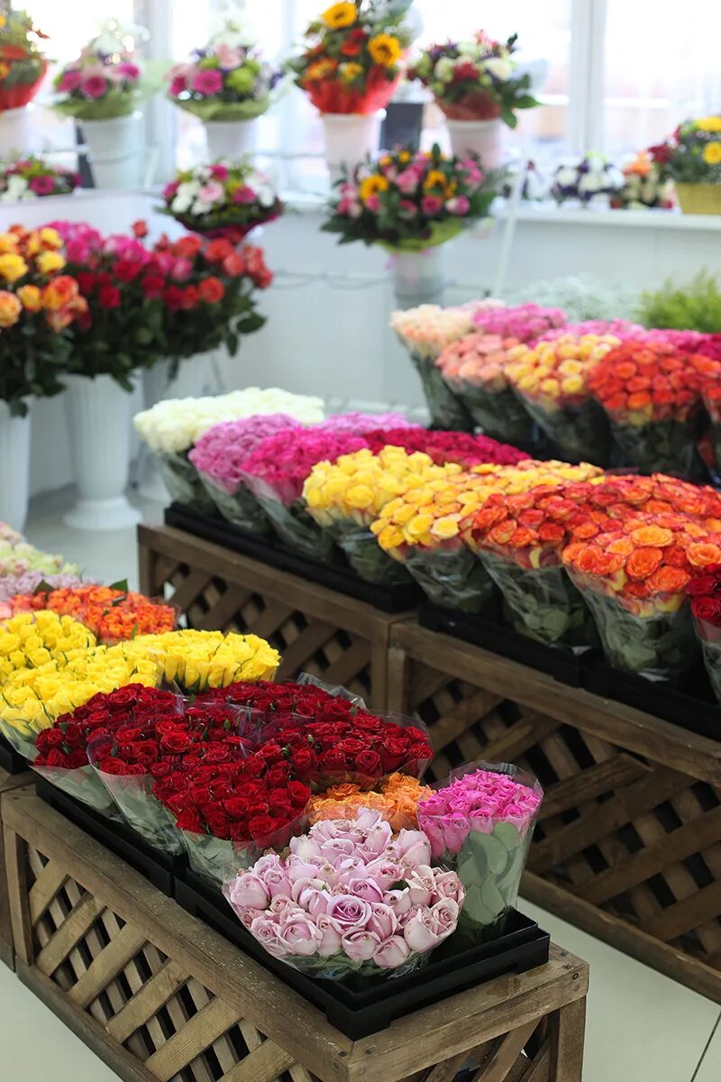 Сколько стоит купить цветочный магазин. Свежесрезанные цветы. Цветы на продажу. Цветы в цветочном магазине. Ассортимент цветочного магазина.