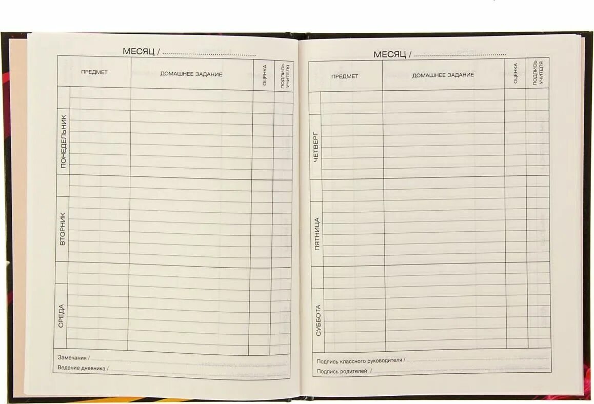 журнал школьные технологии кушнир. классный журнал для оценок. классный журнал в школе. классный журнал листы. заполнение дневника школьника.