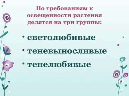 Презентация по технологии 6 класс