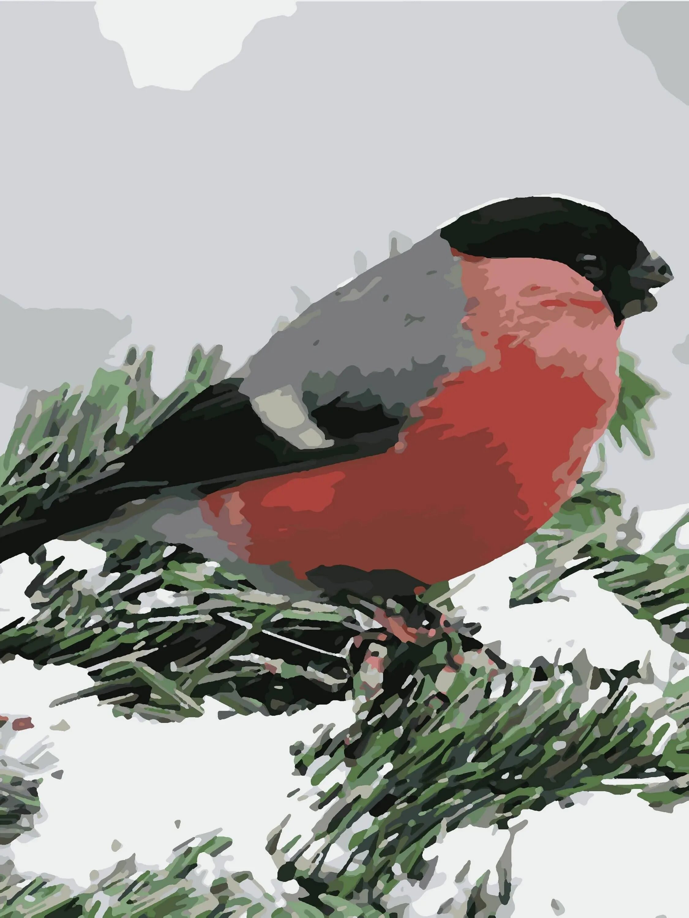 Алмазная мозаика снегирь на ветке. Алмазная мозаика "снегири". Сосчитай сколько птичек. Снегирь цифра 3. Снегирь.