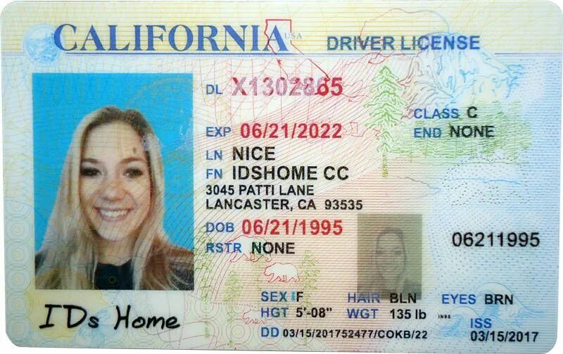 Ids license. California Driver License.
