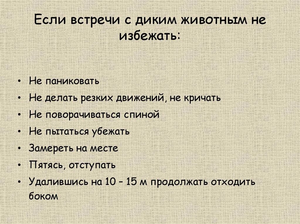 Правила поведения при встрече с дикими животными. При встрече с дикими животными. Обеспечение безопасности при встрече с дикими животными. Поведение при встрече с диким животным.