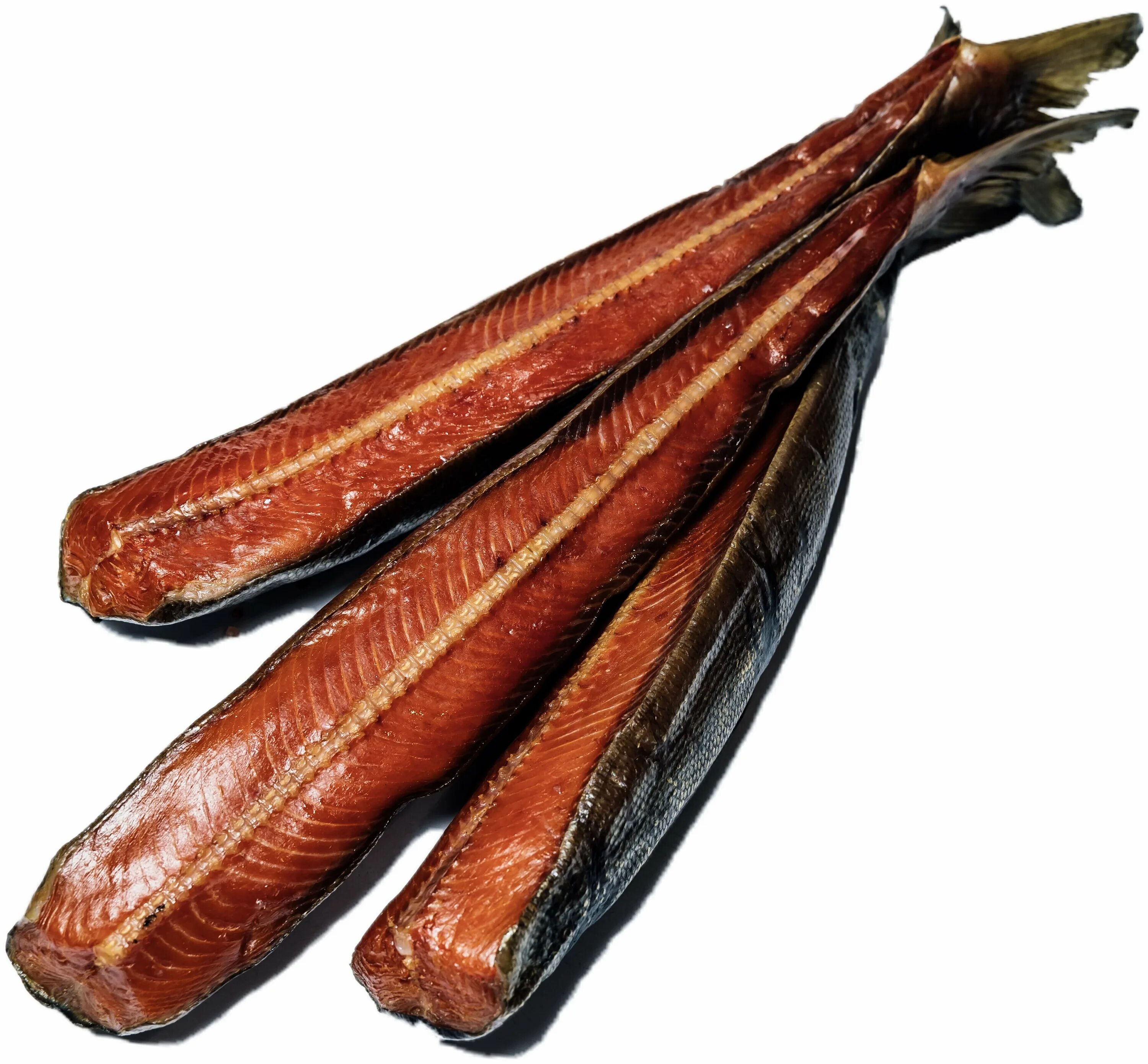 коптилка кдм 500 холодного копчения. коптильня холодного копчения "дым дымыч" 50л. коптилка холодного копчения схема. коптильня холодного копчения производственная. холодное копчение отзывы.