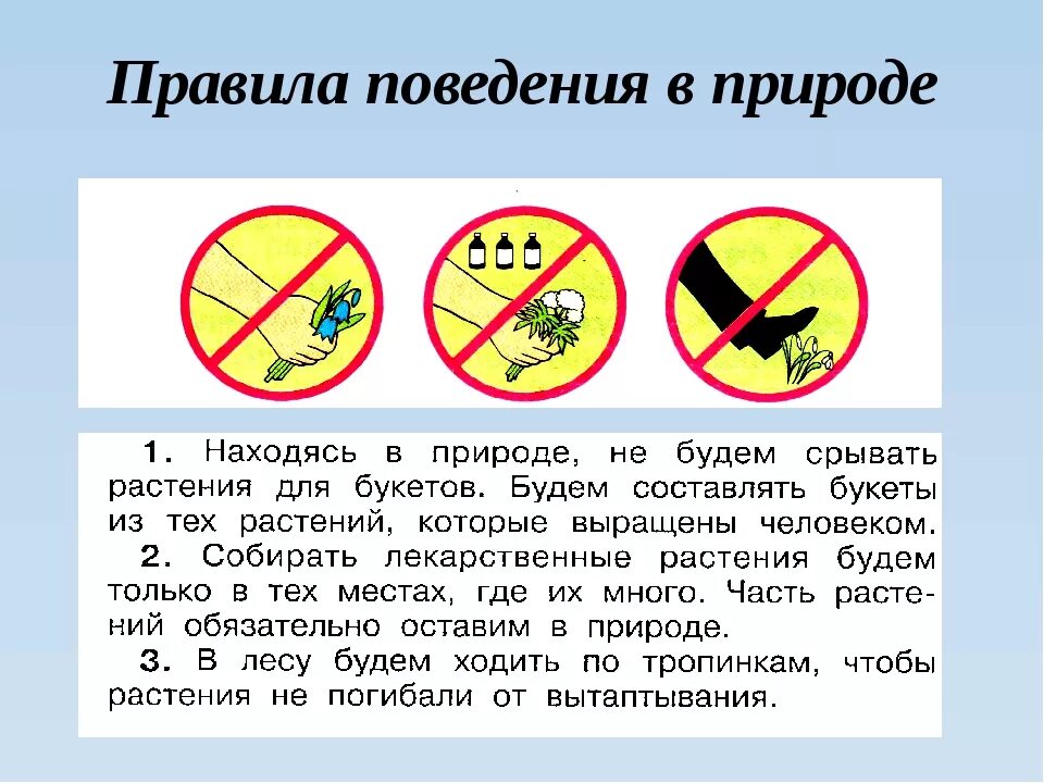 Правила разумного поведения человека в природе. Павилапведенияв природе. Правила поведения на природе. Правила поведения вмприроде. Правила поведения на прирол.