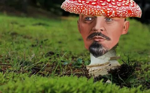 Ленин гриб