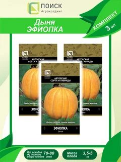 Эфиопка дыня отзывы описание сорта