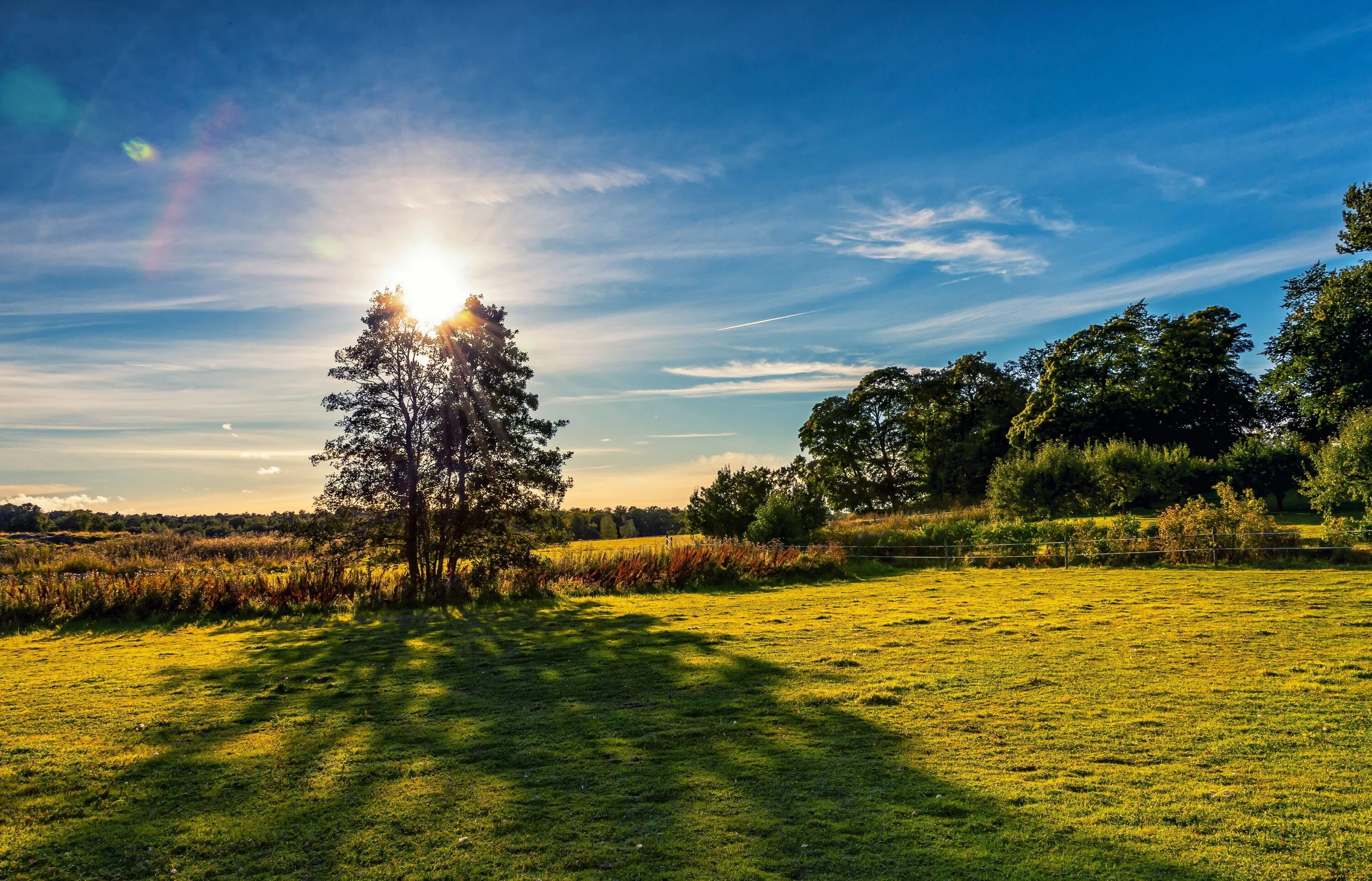 Сон леса и поля. Поле рассвет туман. Лес на холме. Летний пейзаж. Лето дорога.