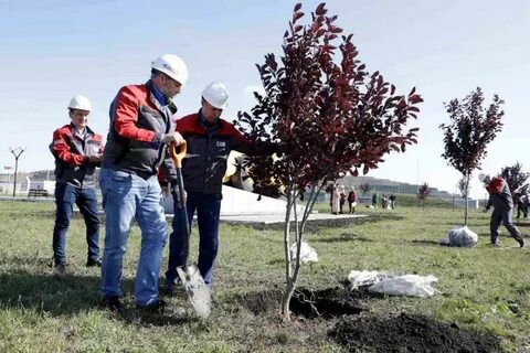 Environmental projects