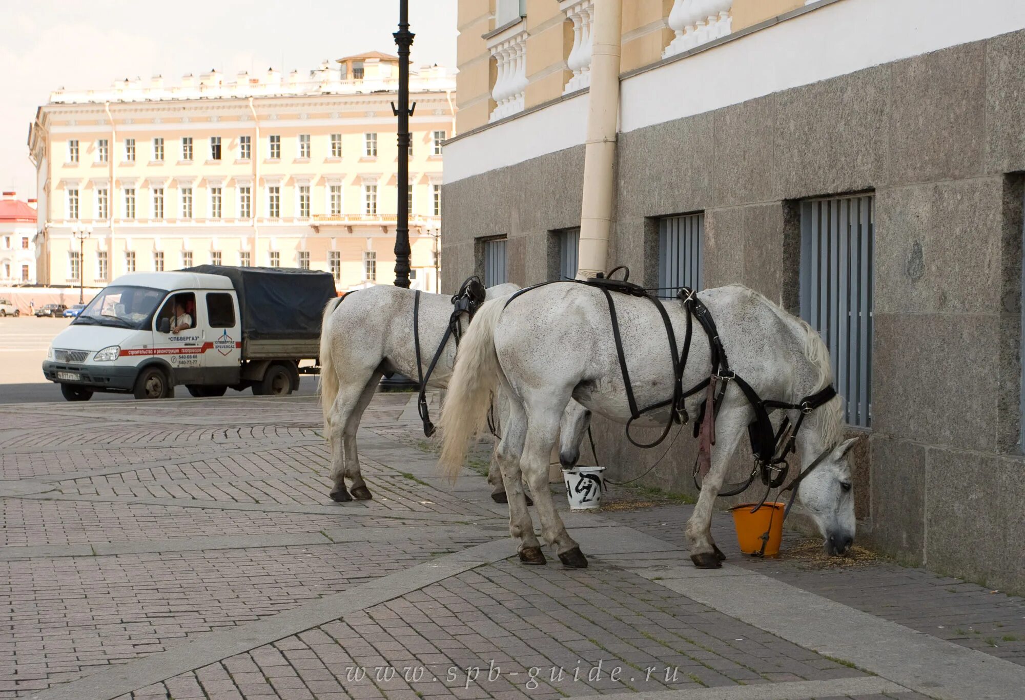 Карета конный экипаж в петербурге. Карета с лошадью. Дворцовая площадь карета. Эрмитаж санкт-петербург карета. Дворцовая площадь карета.