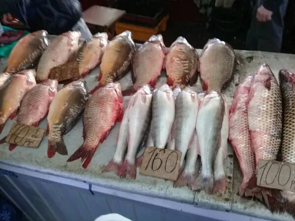 Таганрог рыбный рынок. Таганрогская рыба. Рыбный рынок в Таганроге ассортимент. Рыба в Таганроге на рынке.