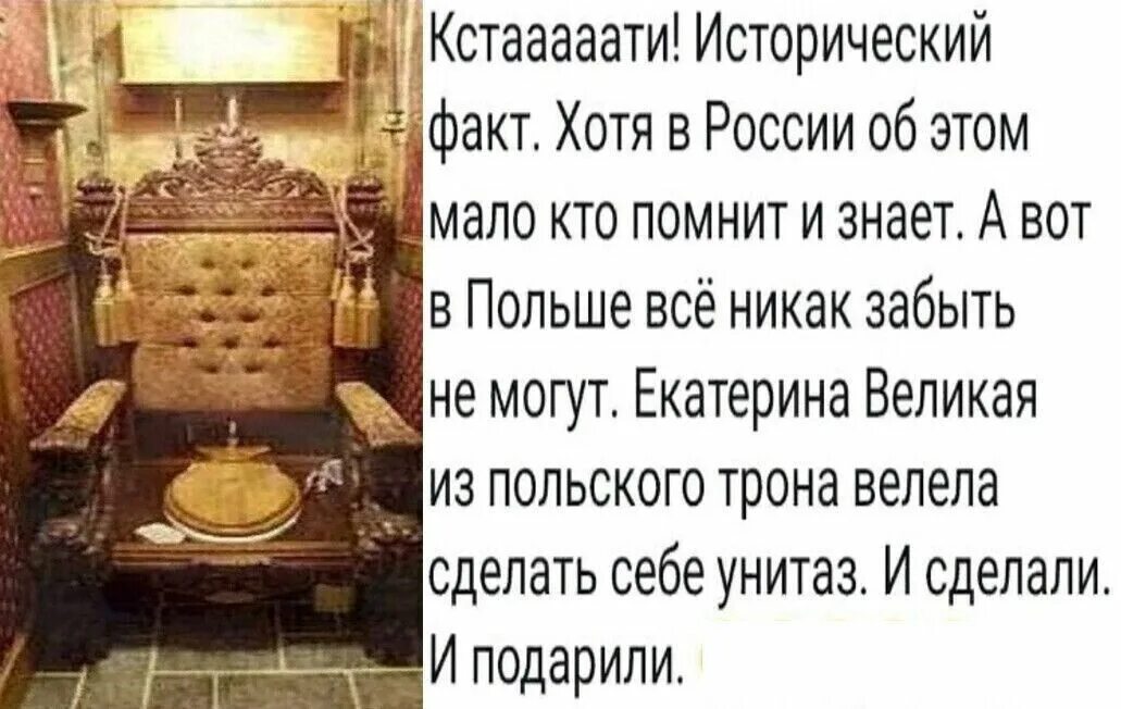 Польский престол. Польский трон туалет. Унитаз из польского трона. Стульчак из польского трона. Трон польских королей стульчак.