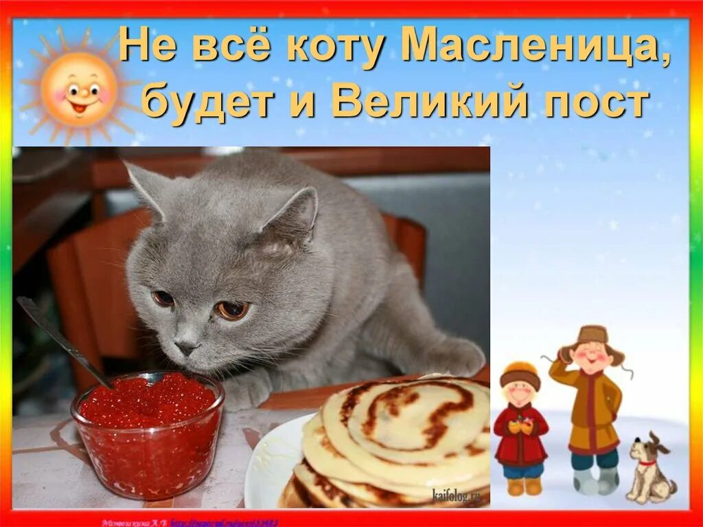 Не всё коту Масленица. Всё коту Масленица. Коту Масленица поговорка. С Масленицей картинки с котами. Кот и масленица картинки