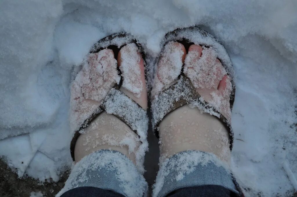 Ноги снежок. Ноги в снегу. Зимой в шлепках. Ноги в сугробе.