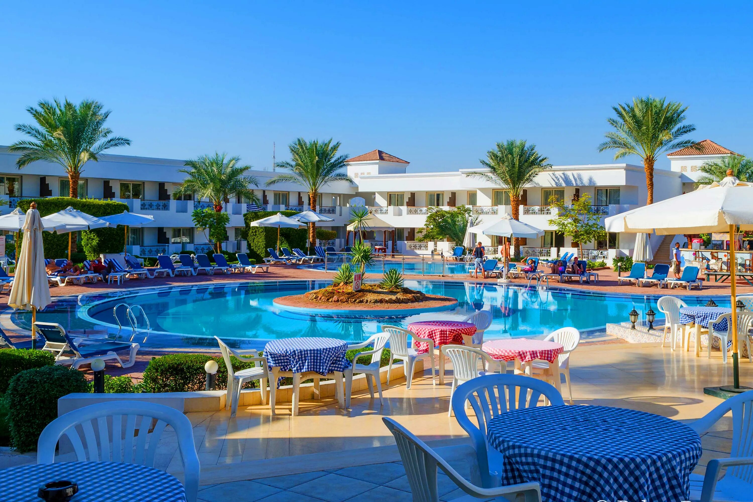 Coral hills sharm el sheikh 3. Отель roulette 4* sharm el sheikh. Отель бич альбатрос резорт 4 шарм-эль-шейх номера. Roulette 3 sharm el sheikh 3. Отель roulette 3* sharm el sheikh.