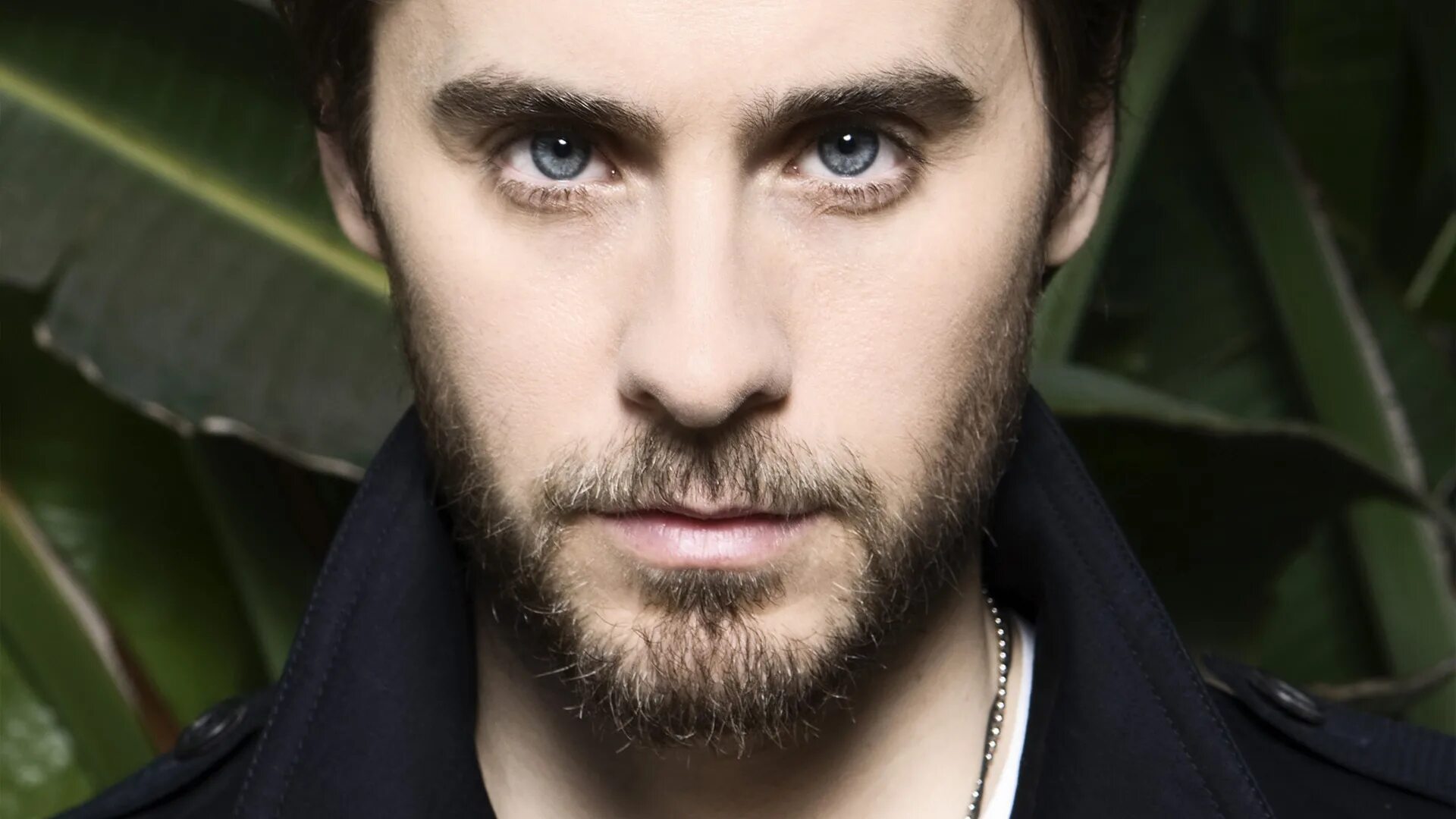 Джаред лето. Джаред лето фото. Джаред лето Jared Leto. Джаред лето 2012. Жизнь джареда лето