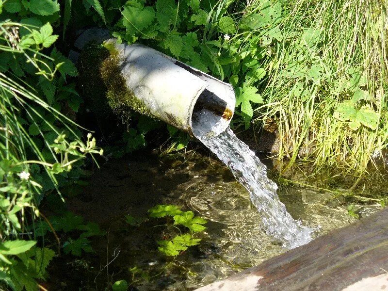 Выпив родниковой воды усталые путники. Родник в Переделкино. Село громки Руднянский район Волгоградская область. Родник громки Руднянский район. Родники Руднянского района Волгоградской.