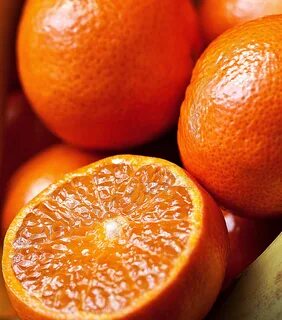 Orange picture