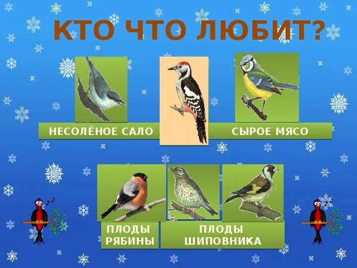 Окружающий мир зимние птицы. Зимующие птицы 1 класс. Презентация птицы 1 класс. Зимующие птицы 1 класс окружающий мир.