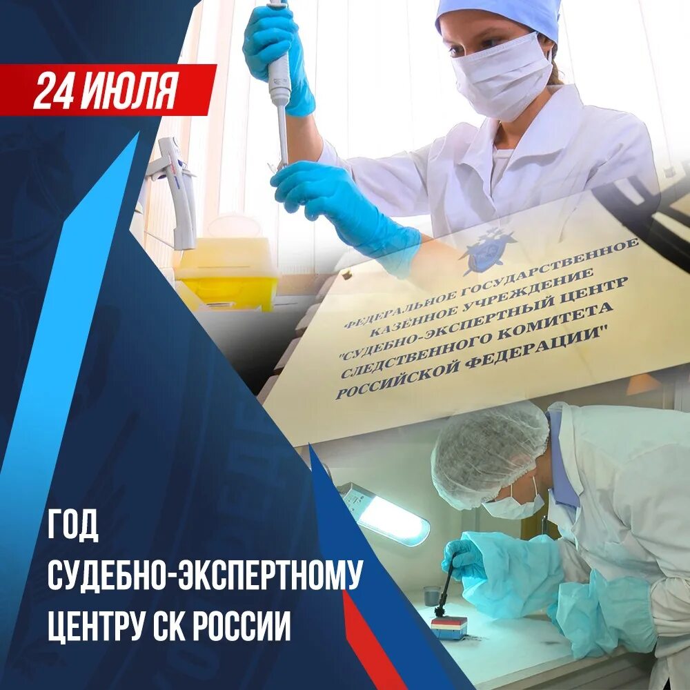 Фгку судебной экспертный центр следственного комитета. Сэц следственного комитета. судебно-экспертный центр. следственный комитет экспертный центр. день судебного эксперта.