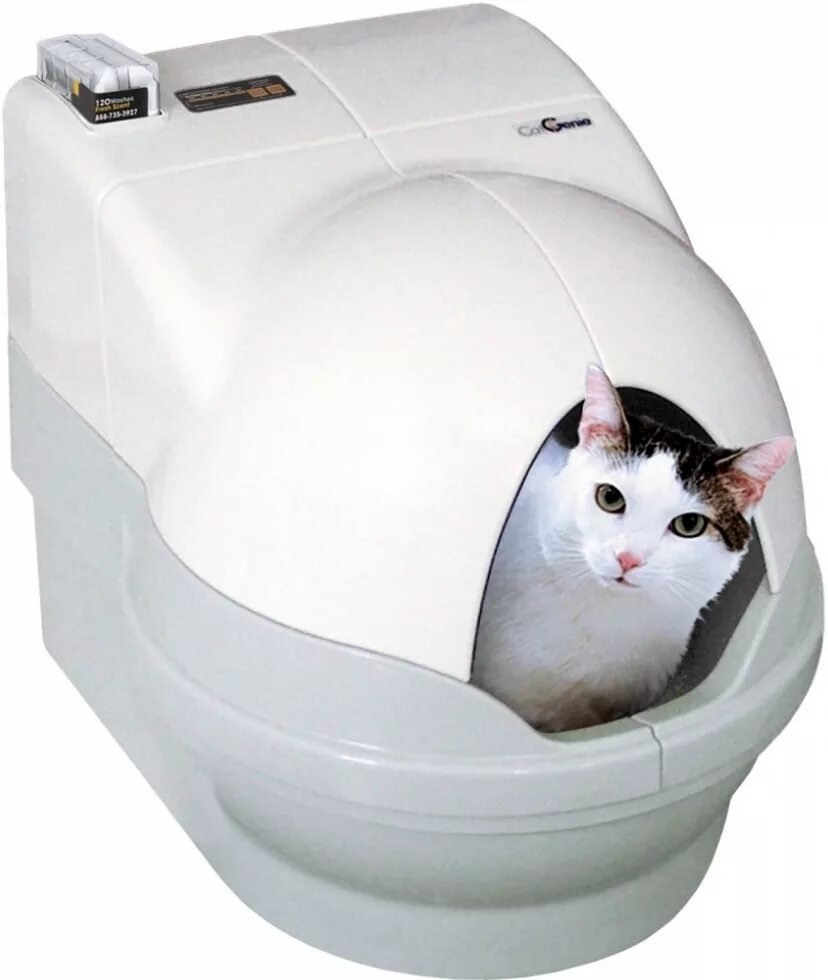 Туалет для кошек. Catgenie 120 автоматический кошачий туалет. Унитаз-робот catgenie 120. Автоматический туалет Litter Robot. Кэт Дженни туалет автоматический.