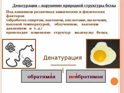 1 денатурация