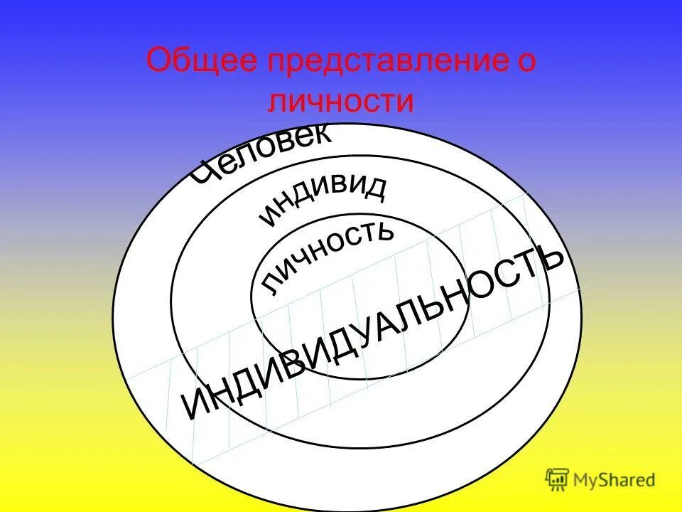План о прочитоной книги. Ознакомительное чтение примеры. Общее представление о книгах. Общее представление о книгах. Отзыв о прочитанной книге.