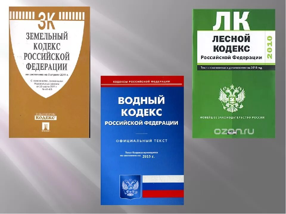 Изменение зк рф. Лесной кодекс Российской Федерации книга. Земельный кодекс РФ. Лесной и Водный кодекс РФ. Земельный Лесной и Водный кодексы.