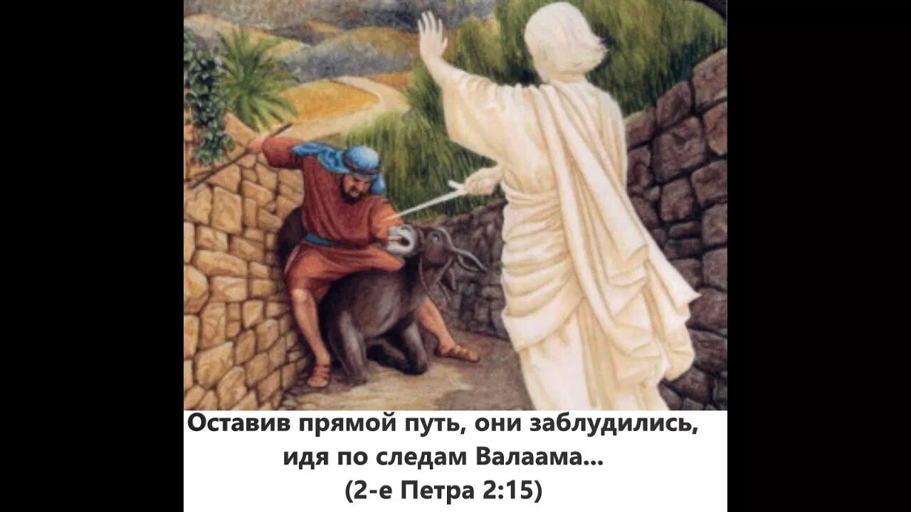 Я пришел к овцам дома израилева. Заблудшие овцы дома израилева. говорящая ослица валаама. я пришёл только к заблудшим овцам дома израилева. они заблудились.