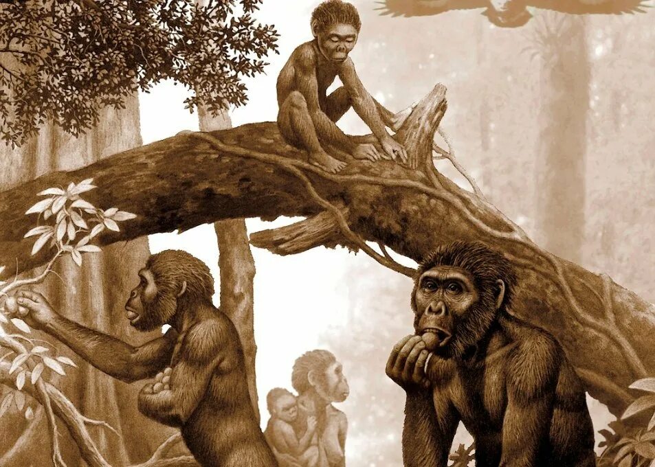Древнейшие люди обезьяны