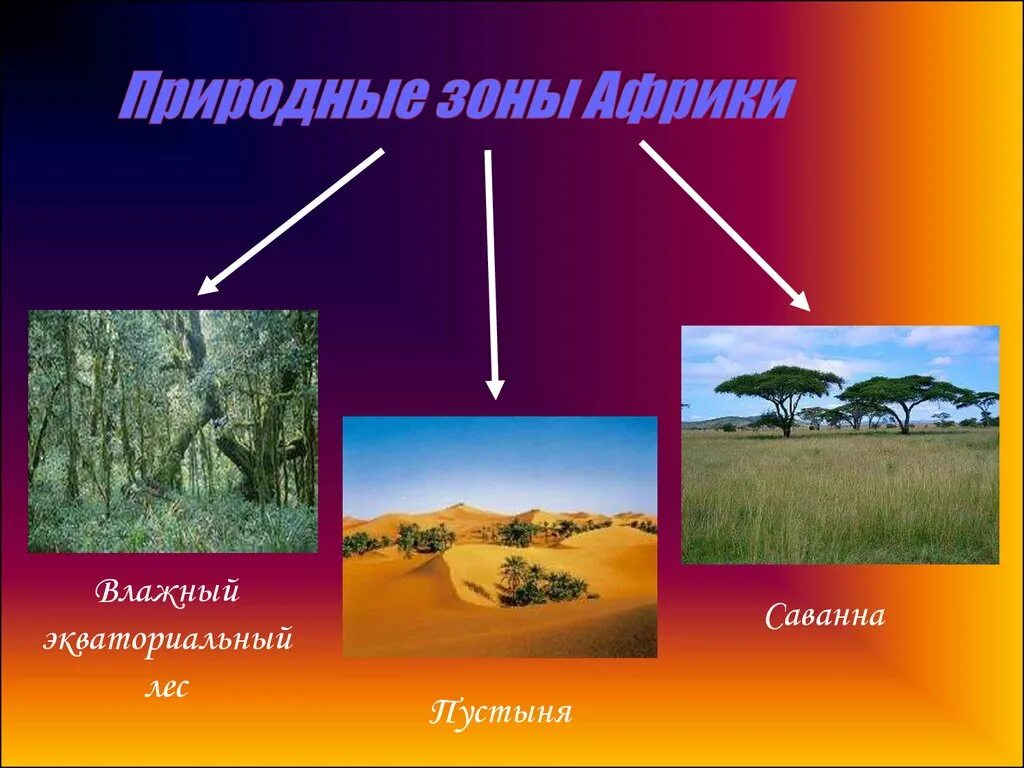 Природные зоны Африки таблица 7 класс влажные экваториальные леса. Природные зоны Африки. Природная зона Африки пустыня. Саванны пустыни и экваториальные леса. Какие природные зоны в восточной африке