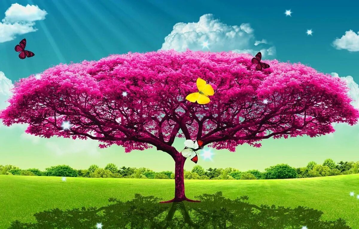 Сон красивые деревья. Красивое дерево. Розовое дерево. Летнее дерево. Сказочное дерево.