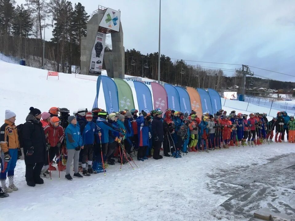 бобр. сибирские бобрята 2024. бобрята. сибирские бобрята 2024. воронежский биосферный заповедник бобровый.