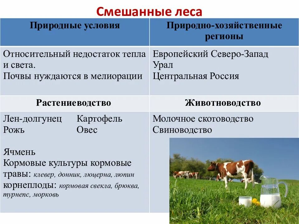 Ограничения для ведения сельского хозяйства в степи. Отрасли растениеводства и животноводства. Зона смешанных лесов отрасль животноводства. Специализация сельского хозяйства. Растениеводство в смешанных лесах.