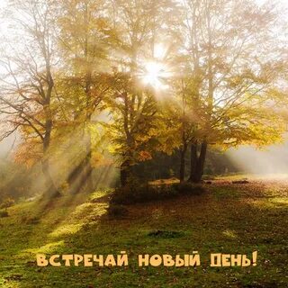Доброе утро октября лес