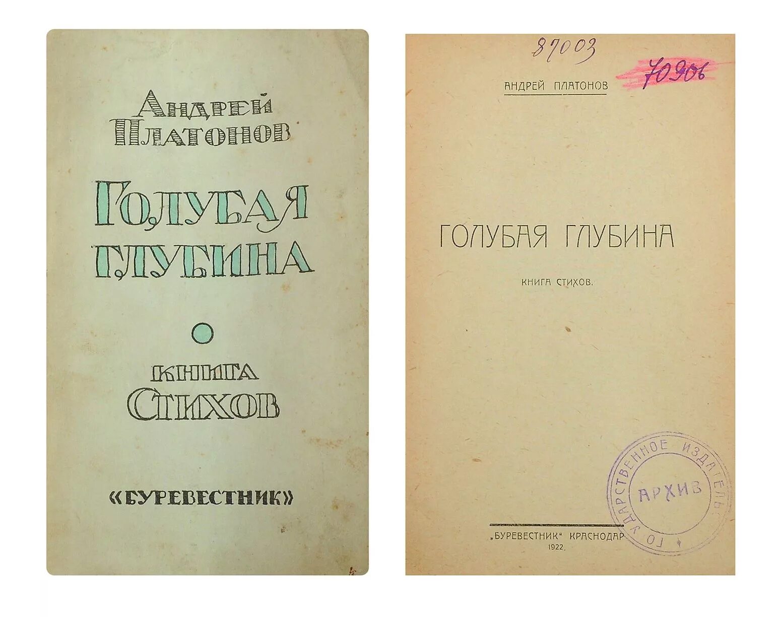 Первая книга стихов платонова