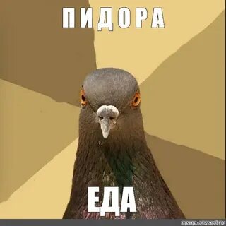 Людское мем с голубем