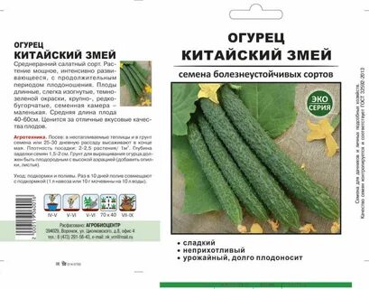 Как сажать китайские огурцы