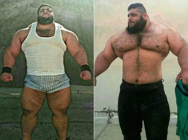 Вес поднимаемый человеком. Саджад гариби. Саджад гариби рост вес. Иранский Халк. Иранский Халк гариби вес.